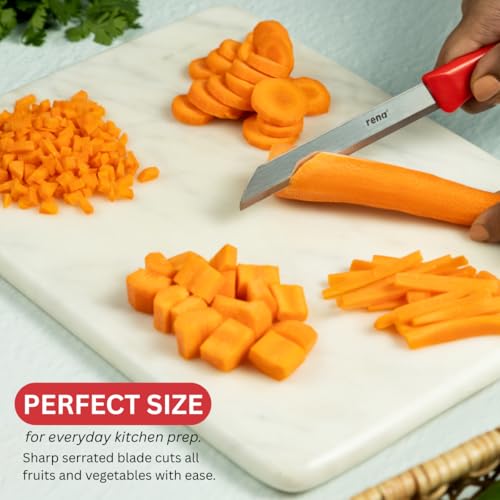 rena 10 Piece 90 mm Serrated Kitchen Knife Set Sharp Stainless Steel Knife Set for Kitchen Use, for Fruits, Vegetables, Bread. Rust Resistant, Dishwasher Safe, Durable & Long Lasting - Image 2