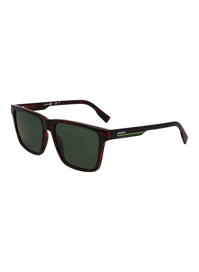 LACOSTE نظارات شمسية لاكوست كاملة الإطار L6039S N 5716 (214) هافانا - Image 1
