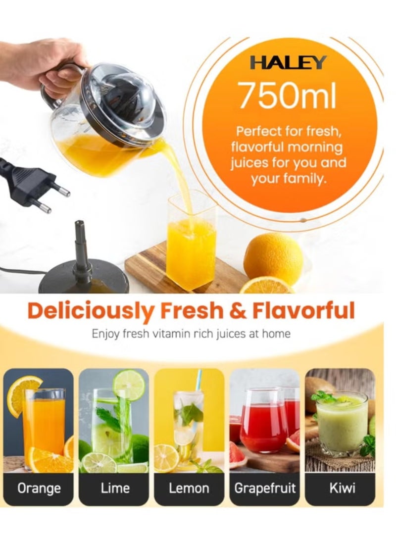 Haley HY-2905 Electric 750ml Portable Citrus Juicer Blender Suitable for Home - Image 3