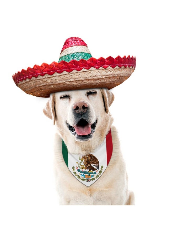 Pudodo Mexican Independence Day Dog Bandana Triangle Bibs Dog Scarf Adjustable Accessories for Small Medium Dogs Cats Pets - Image 3