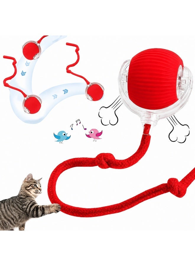 Pet Mate Interactive Rolling Cat Toys Red Ball, Interactive Rolling Dog Ball, Motion Activate Rolling Pet Toys, Automatic Self Moving Dog/Cat for Indoor Cats Toys Fast Rolling on Carpet| Red - Image 1