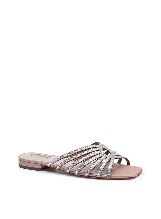 نيكولي CLARISSA