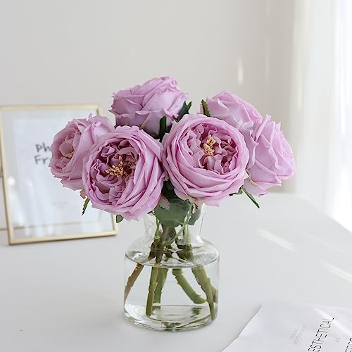 grtefhu 6Pcs Fake Austin Rose Peonies Flowers with Vase Clear Glass Vase with Pink Real Touch Peonies Artificial Flowers Home DecorPink - Image 1