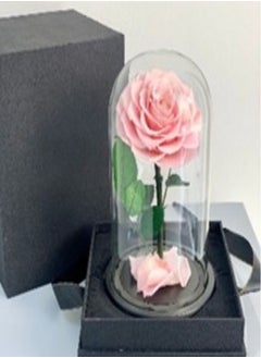 Special Pink Rose Inifinity a Box - pzsku/ZF17408F9B444B9562C7DZ/45/_/1695975371/81871232-93d9-48a3-90d1-5e39b974b61b