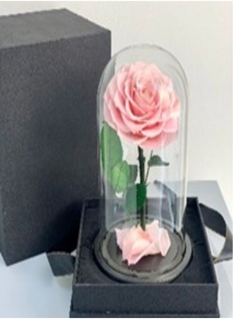 Special Pink Rose Inifinity a Box