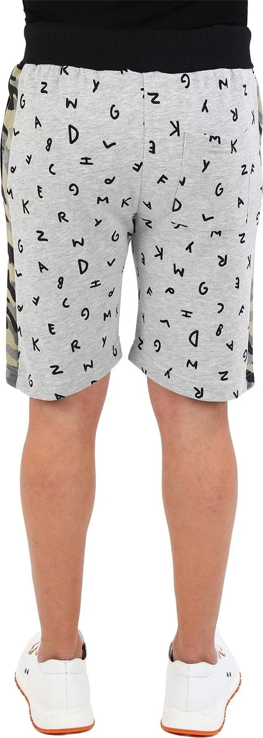 Alexander Gardi Alexandergardi Printed Stripe Detailed Regular Fit Shorts, Gray (E20-CMLSRT 04)