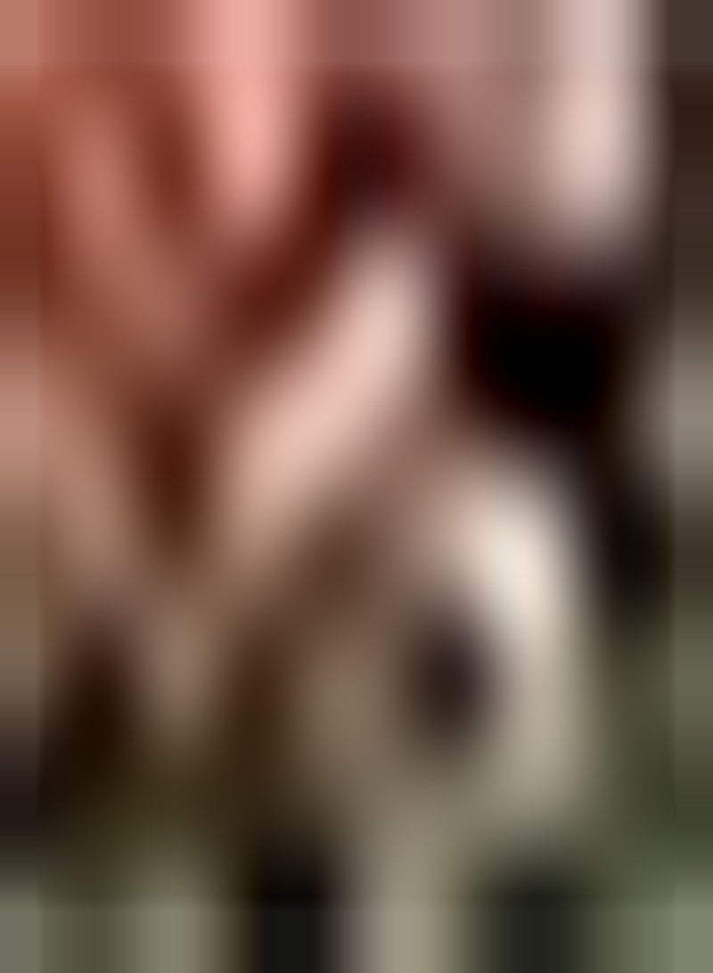 GGOOT seeds Acer rubrum (Red Maple)   Large Packet   100 Seeds - Image 1