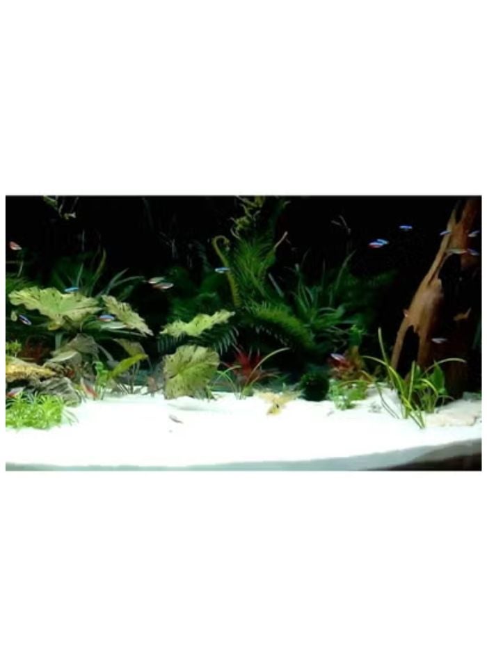 vsell24 10 كجم رمل سكر أبيض نقي (80–120 ميكرون) – رمل طبيعي ناعم للغاية لتنسيق الأحواض، قاعدة الأحواض، تنقية المياه، terrariums ومشاريع الحرف اليدوية - Image 3