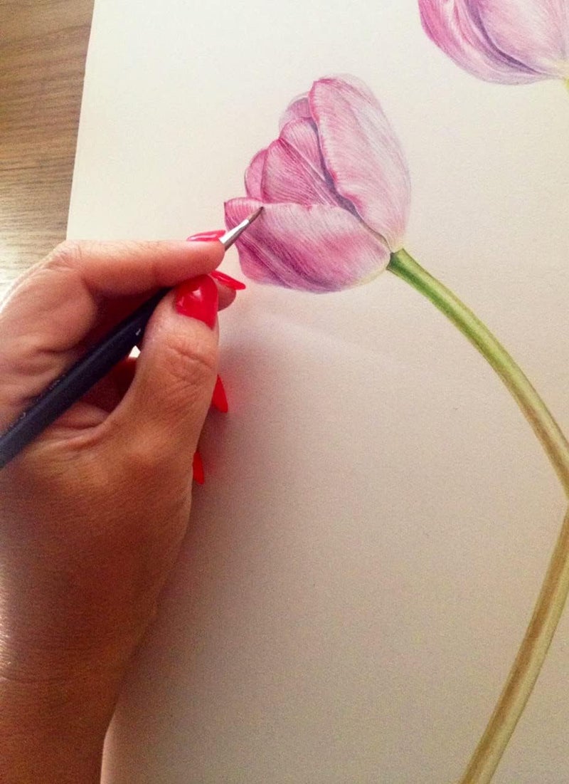 BRUSTRO ورق ألوان مائية BRUSTRO Artists 25% قطن | 300 GSM، A5، مضغوط بارد | عبوة من 24 ورقة - Image 4