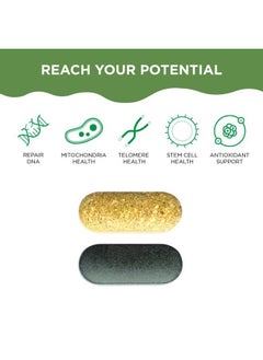 Healthycell HealthyCell AM PM Nutrition for Day & Night - Blend of 90 Vitamins, Minerals, Probiotics & Nutrients Supports Overall Health, Energy, Focus & Sleep - Natural Multivitamin for Men & Women - 30 Servings  - Image 3