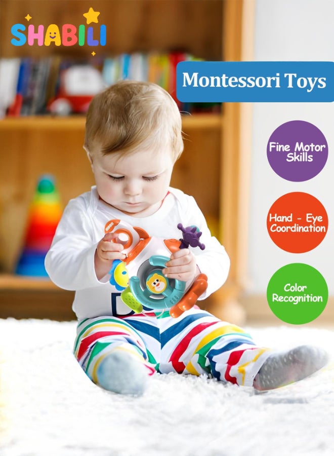 SHABILI Montessori Sensory Hand-Grip Ball Toy for Toddlers 18M+, Interactive Educational Toy for Fine Motor Skills, Hand-Eye Coordination & Cognitive Development, Ideal Gift for Boys & Girls - Image 2
