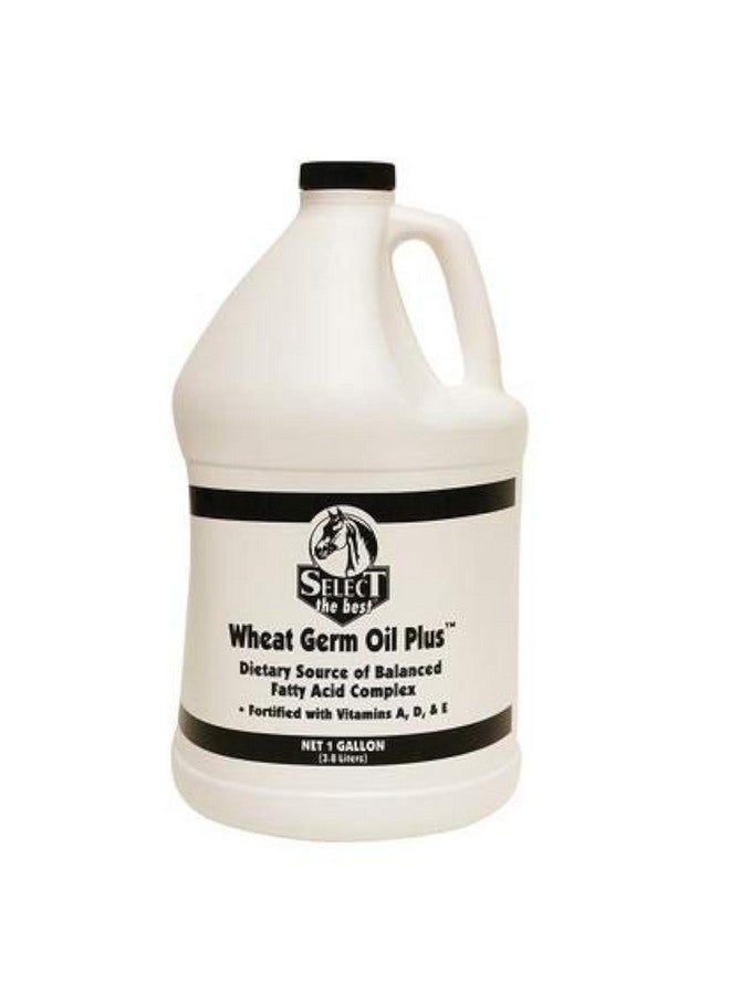 ريتشاديل زيت جنين القمح من ريتشدل بالإضافة إلى فيتامين أ - Image 2