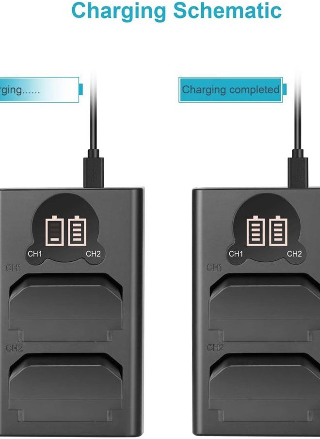 Neewer - NP-FZ100 2280mAh Replacement Battery and Charger with LCD Screen, 2 Packs, Compatible with Sony A1, A9 II, A7R III, A7R IV, A7R V, A7S III, A7 III, A7 IV, A6600, A7C Cameras - Image 1