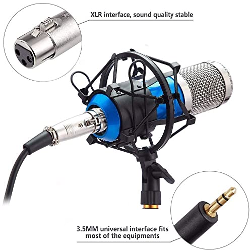 IMAGINEA BM800 Condenser Microphone All Set with Shock Mount Ball-Type Anti-Wind Foam Cap & XLR Cable for Broadcasting & Recording Studio (Blue) - Image 5