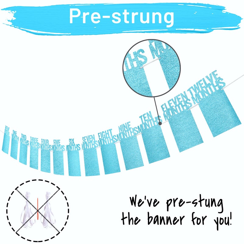 PartyHooman 1st Birthday Photo Banner for Baby from Newborn to 12 Months, First Birthday Decorations for Boys Monthly Milestones Garland | First Photo Banner Pre-strung with Frame (Blue) - Image 2