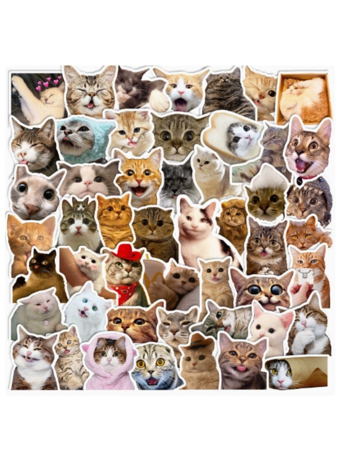 virenia 50-Piece Self-Adhesive Vinyl Funny Cat Stickers – Graffiti Style – Perfect for Laptop, Water Bottle, Hard Hat & Skateboard – For Adults, Kids, Teens, Girls & Boys - Image 1