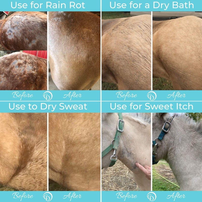 Coat Defense Daily Preventative Powder for Horses - Safe & Effective Equine Sweet Itch, Skin Funk, Scratches, & Rain Rot Treatment - Dry Shampoo for Horses, 8 oz Formula with All Natural Ingredients - Image 5
