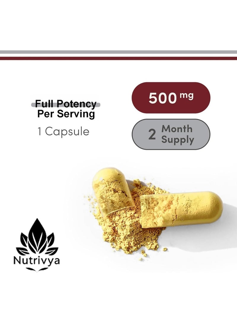 Nutrivya Berberine HCl 500mg | 60 Vegan Capsules | Third Party Tested | Non-GMO & Gluten Free - Image 4