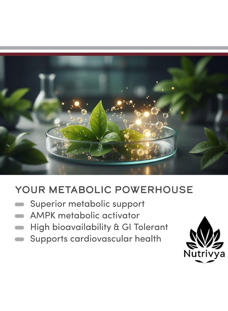 Nutrivya Berberine HCl 500mg | 60 Vegan Capsules | Third Party Tested | Non-GMO & Gluten Free - Image 5