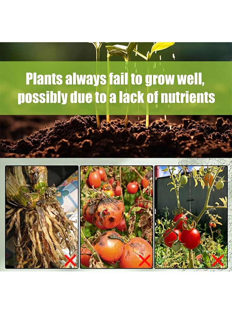 ايكانبو 72 قطعة من أوتاد النبات، طلاء بسيط، سهل الاستخدام، عصي للنباتات الداخلية، أسمدة نباتية، مسامير نباتية داخلية، أسمدة فعالة، تغذية مستمرة لعصي مغذيات الزهور - Image 3