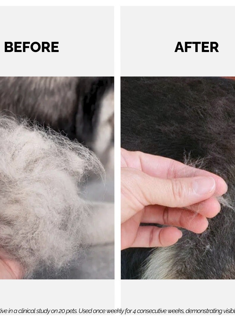 Moe Puppy Moe Puppy Keratin Plus Pet Shampoo for Repair and Strengthening Damaged Fur| Natural Pet Shampoo Made with Plant Based Ingredients | Sulfate & Paraben Free, pH Balanced for Pets (300ml)  - Image 5