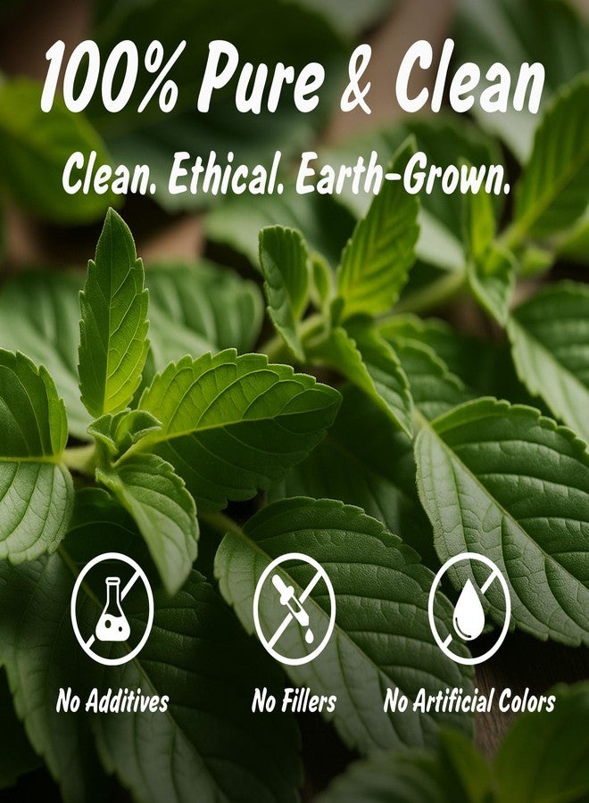 Spice Profile USDA Organic Indian Tulsi/Holy Basil Cut & Sifted, 2 oz, Lab Tested for Heavy Metals, Ocimum sanctum, Albahaca Sagrada - Image 3