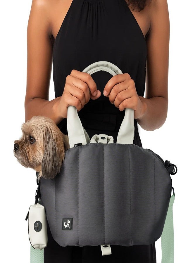 Sytopia Small Dog Carrier Purse, Portable Pet Carrier Tote Carrier with Pockets, Adjustable Safety Leash, Waterproof Dog Travel Bag, Travel Pets Purse up to 4 Lbs, Dark Grey - Image 1