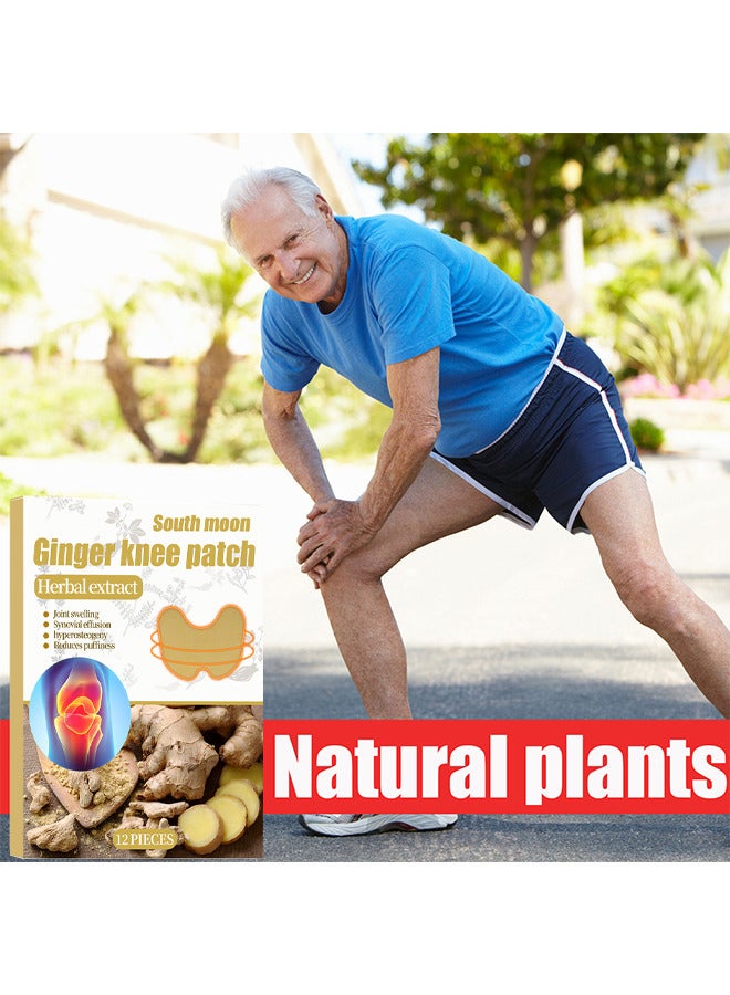 ساوث مون جينجر ركبتك تصحيح آلام تخفيف الاحترار الجص بقع ألم في الالتهاب بقع الحرارة لتخفيف آلام الركبة والالتهابات تدوم طويلًا من آلام المفاصل ، 12 قطعة - Image 2