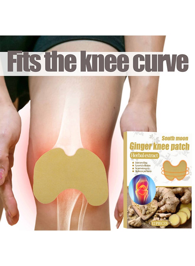 ساوث مون جينجر ركبتك تصحيح آلام تخفيف الاحترار الجص بقع ألم في الالتهاب بقع الحرارة لتخفيف آلام الركبة والالتهابات تدوم طويلًا من آلام المفاصل ، 12 قطعة - Image 4