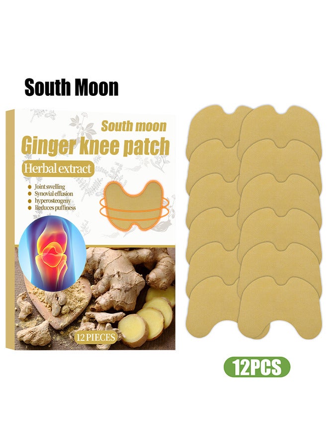ساوث مون جينجر ركبتك تصحيح آلام تخفيف الاحترار الجص بقع ألم في الالتهاب بقع الحرارة لتخفيف آلام الركبة والالتهابات تدوم طويلًا من آلام المفاصل ، 12 قطعة - Image 1