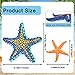 YUJUN 16 Pieces Big Diving Pool Toys Beach Colorful Starfish Summer Swimming Underwater Pool Toys Soft Rubber Dive Throw for Kids Birthday Swimming Pool Party Favors Fish Tank Stuffer 2 Sizes - Image 4