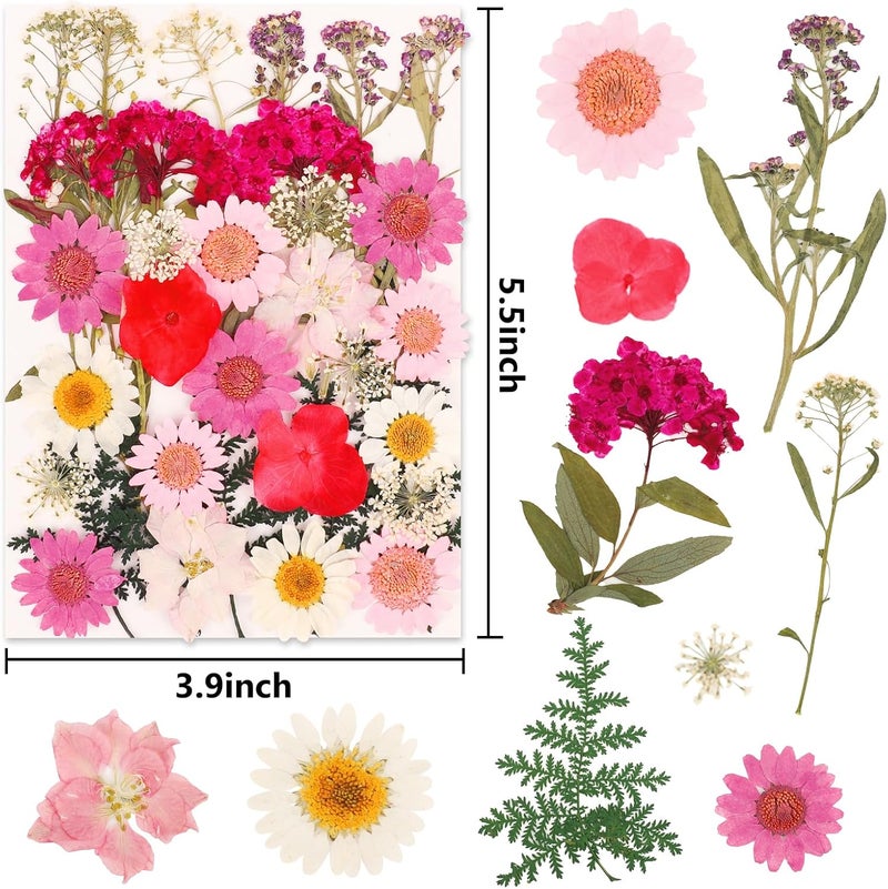 NESCCI 35 Pcs Dried Pressed Flowers for Resin,Real Nature Dried Flowers for Crafts Bulk Dry Flowers Leaves Kit Used for Resin Molds Scrapbooking DIY Art Crafts Candle Soap Making Nails Décor - Image 2