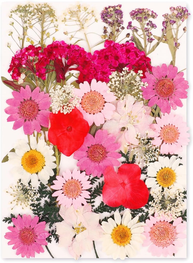 NESCCI 35 Pcs Dried Pressed Flowers for Resin,Real Nature Dried Flowers for Crafts Bulk Dry Flowers Leaves Kit Used for Resin Molds Scrapbooking DIY Art Crafts Candle Soap Making Nails Décor - Image 1