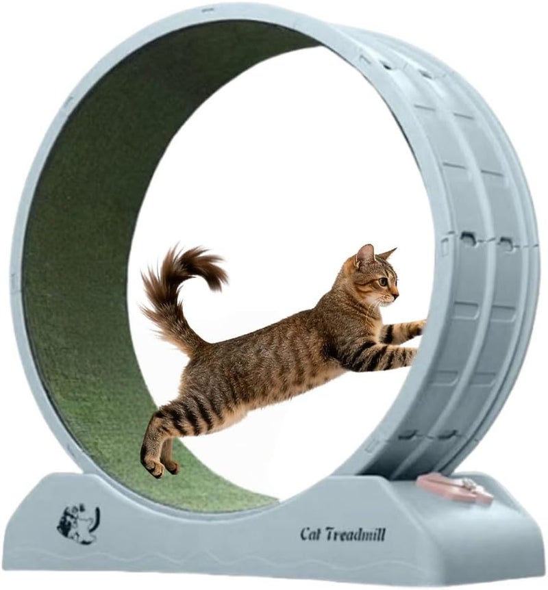 Sharpdo Lightweight Cat Treadmill Cat Exercise Wheel for Fitness and Health Suits for Most Cats (Blue) - Image 1