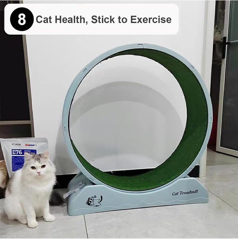 Sharpdo Lightweight Cat Treadmill Cat Exercise Wheel for Fitness and Health Suits for Most Cats (Blue) - Image 2