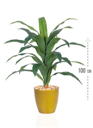 Artificial tree simulating a soft corn tree with a natural feel, 100 cm high - pzsku/ZF186D33BAAEDB52A6D9EZ/45/_/1690301445/e48a1f7b-c201-400e-a33b-b6234a2e688c