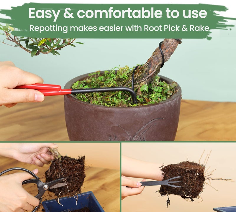 SOLIGT مجموعة أدوات بونساي مع صندوق خشبي 12 قطعة مجموعة بونساي ثقيلة، مقص تقليم، قاطع مقعر، لفات سلك، قاطع سلك والمزيد، مجموعة بونساي للعناية والتقليم - Image 4