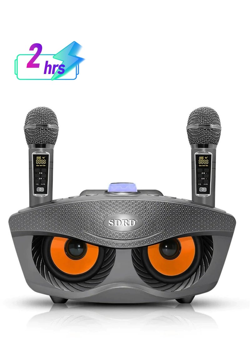 SDRD Portable Speaker Player Radio With Bluetooth Family KTV Speaker With 2 Wireless Microphones 30w-Grey - Image 1