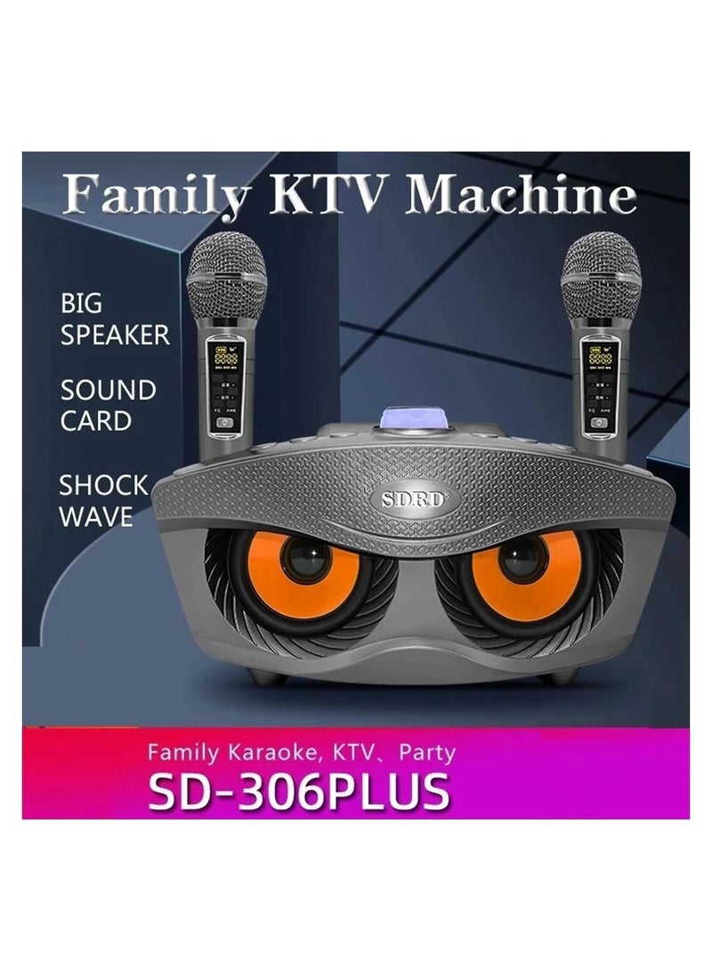SDRD Portable Speaker Player Radio With Bluetooth Family KTV Speaker With 2 Wireless Microphones 30w-Grey - Image 5