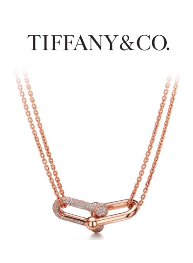 Tiffany's Tiffany HardWear Large Double Link Necklace - Image 1