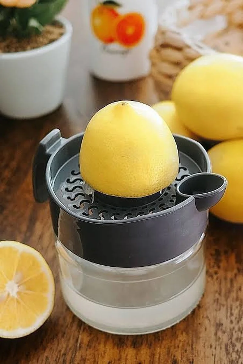 Hane216 Glass Lemon and Citrus Juicer, Lemon Squeezer, Orange Squeezer, Tangerine Squeezer