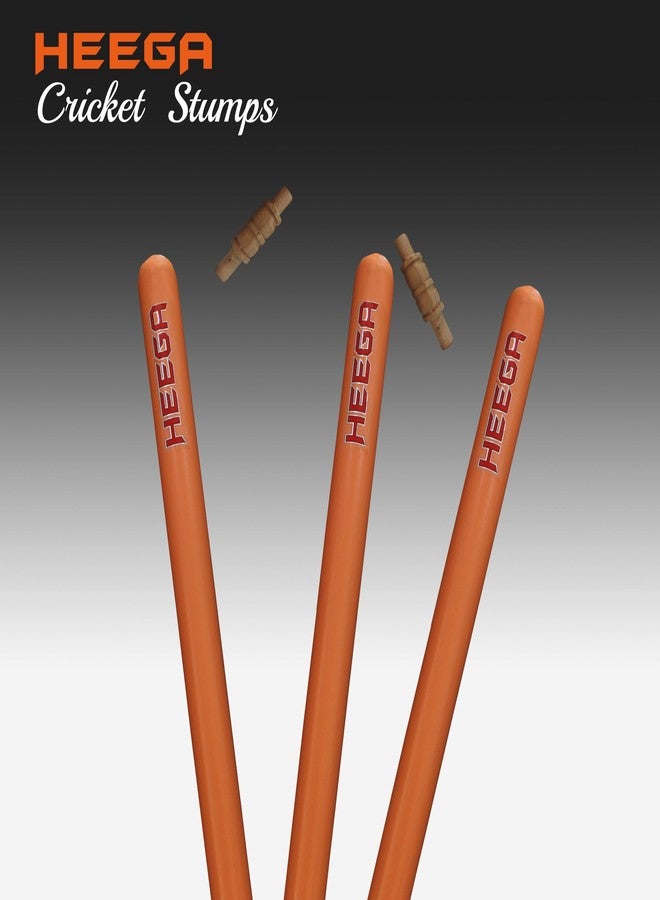 Heega Choice of Champion Heega Wooden Cricket Stumps | Full-Size Wooden Cricket Stumps (Set of 2) - Image 2