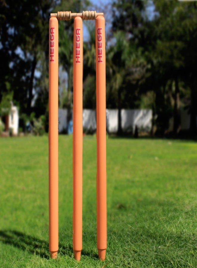 Heega Choice of Champion Heega Wooden Cricket Stumps | Full-Size Wooden Cricket Stumps (Set of 2) - Image 3