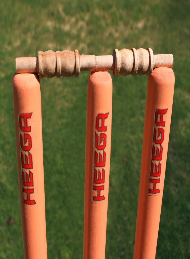 Heega Choice of Champion Heega Wooden Cricket Stumps | Full-Size Wooden Cricket Stumps (Set of 2) - Image 5