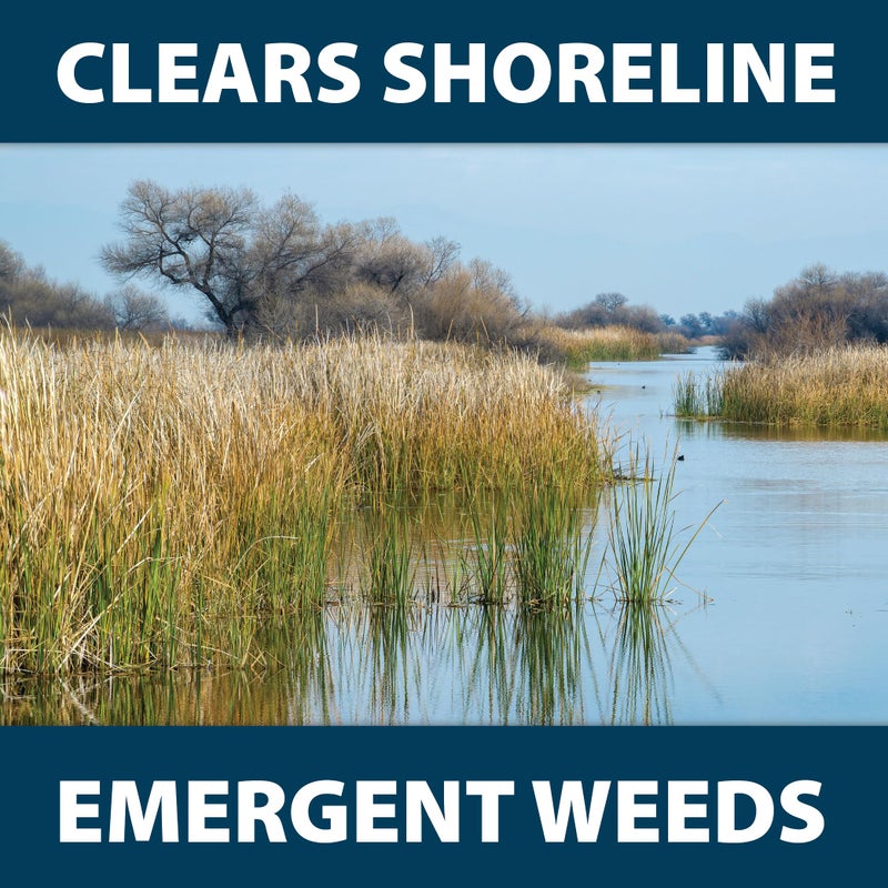 Airmax Shoreline Defense Emergent Weed Control Concentrated Treatment, Aquatic Herbicide (Glyphosate) for Phragmites, Pond Grass & Cattails, 1 Quart - Image 5