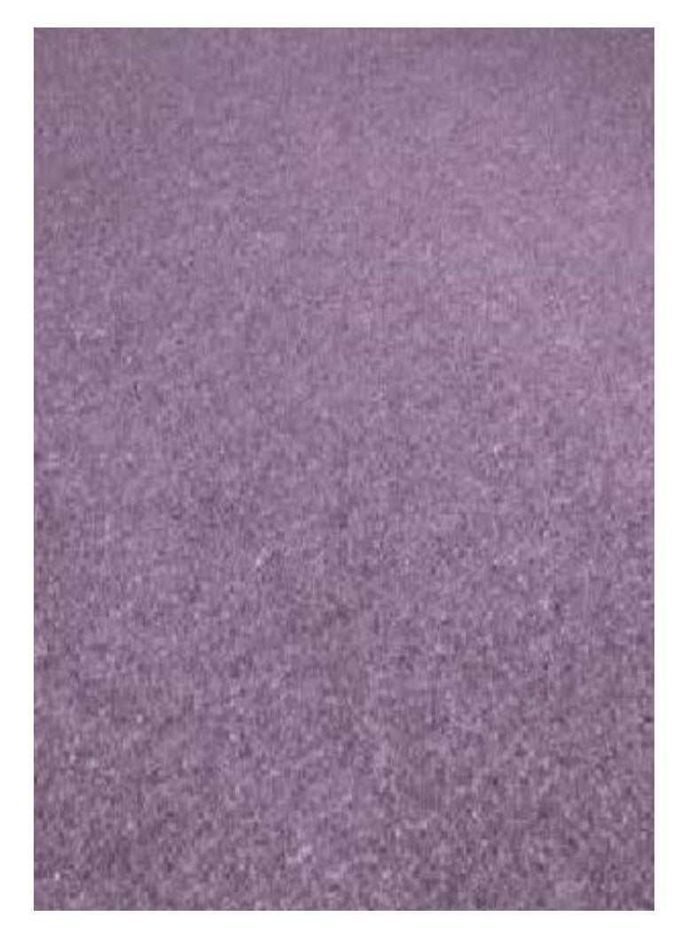 AL WADI FURNITURE AWF Al Wadi Furniture Loop Pile Carpet Deep Burgundy - Image 2