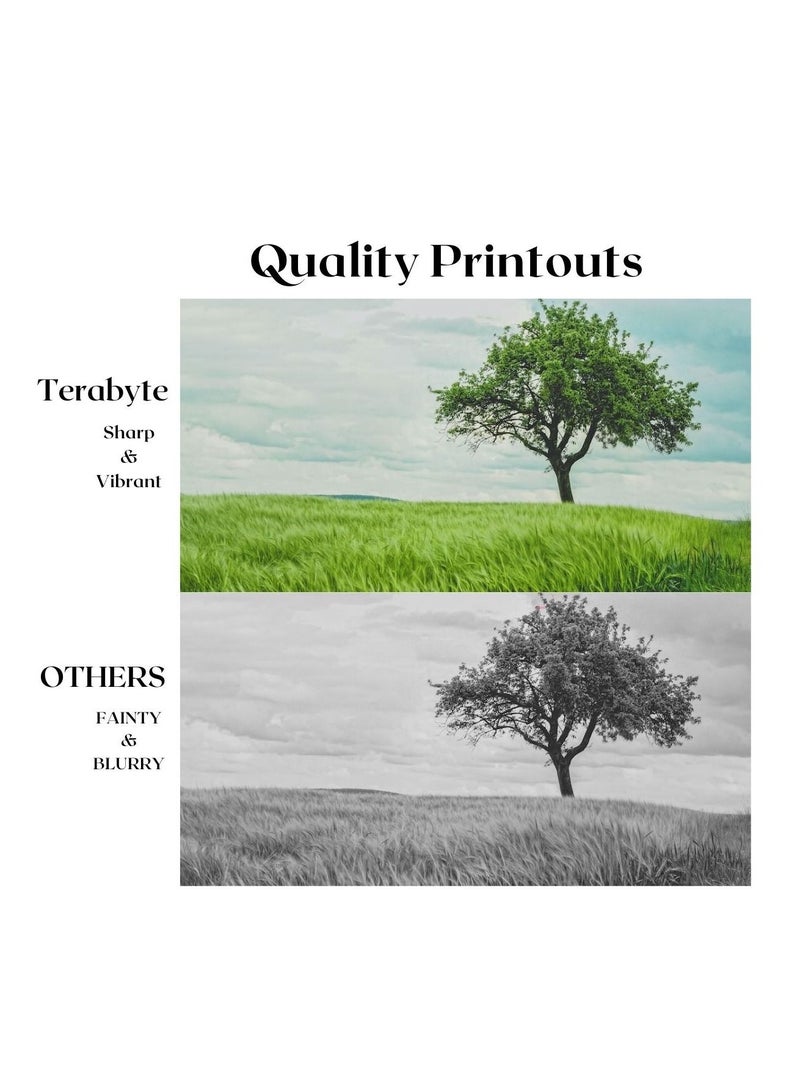 Terabyte 5070(36K) TOSHIBA COMPATIBLE TONER TERABYTE - Image 2