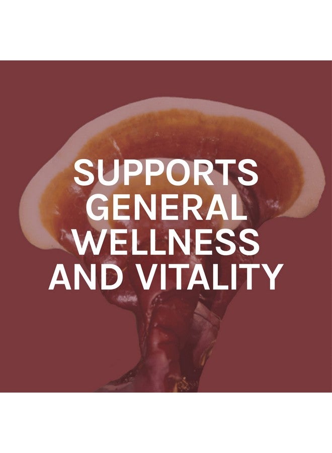 Host Defense Reishi Extract Supports General Wellness And Vitality Mushroom Supplement Plain 1 Fl Oz - Image 5