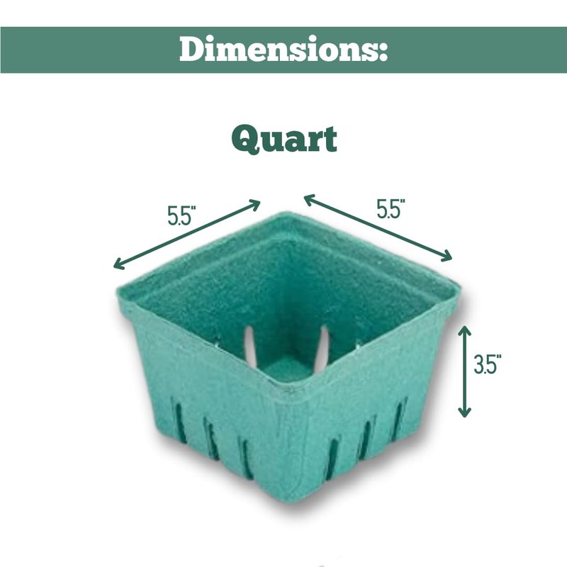 JA Kitchens 42 Pack QUART Green Molded Pulp Fiber Berry/Produce Vented Baskets for Fruit and Vegetable - Image 3