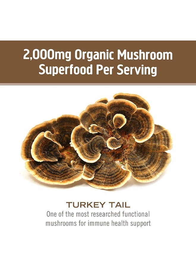 OM Mushroom Superfood Turkey Tail Mushroom Superfood 90Vcaps - Image 4